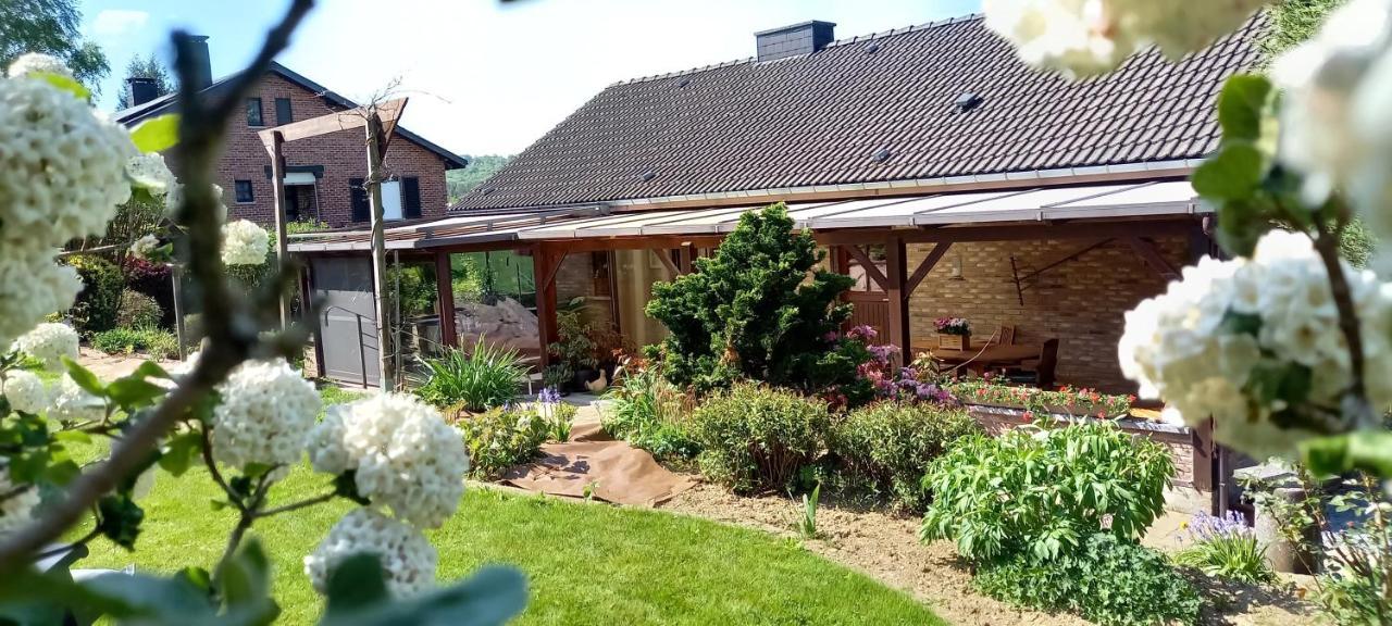Gite Les Sittelles Tenneville Exteriér fotografie