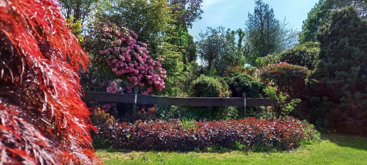 Gite Les Sittelles Tenneville Exteriér fotografie