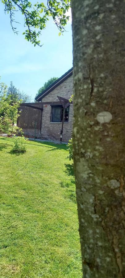 Gite Les Sittelles Tenneville Exteriér fotografie