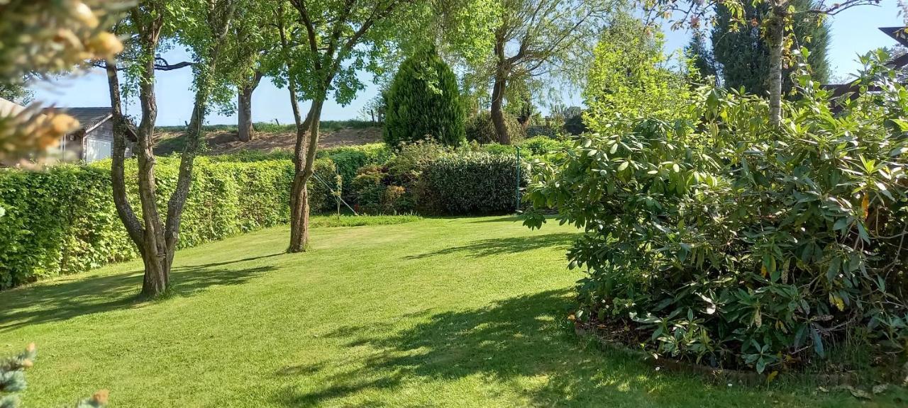 Gite Les Sittelles Tenneville Exteriér fotografie