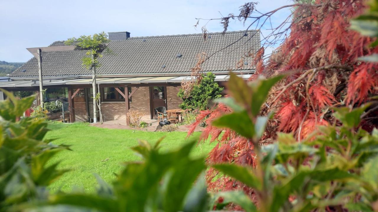 Gite Les Sittelles Tenneville Exteriér fotografie