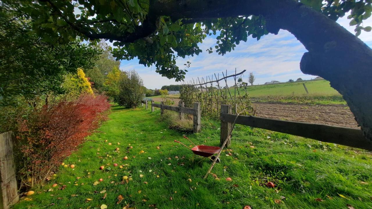 Gite Les Sittelles Tenneville Exteriér fotografie