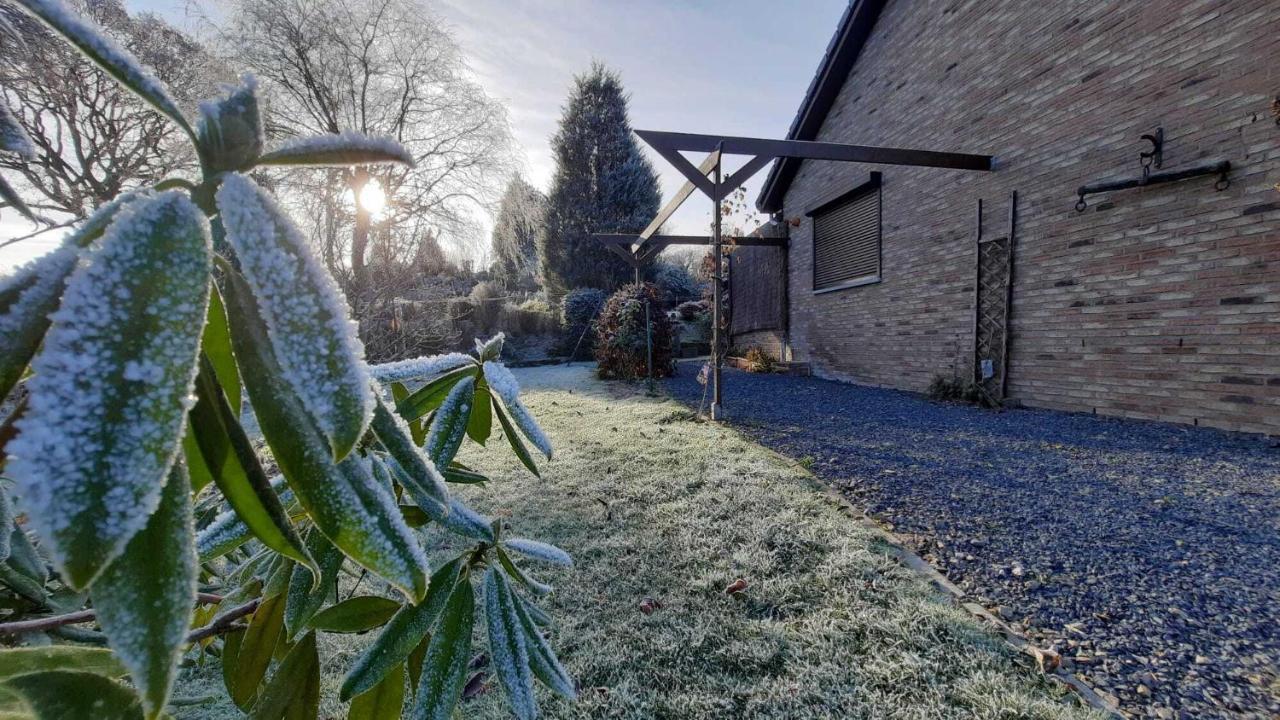 Gite Les Sittelles Tenneville Exteriér fotografie