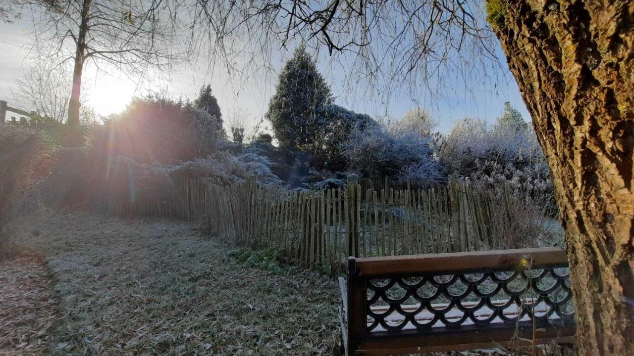 Gite Les Sittelles Tenneville Exteriér fotografie