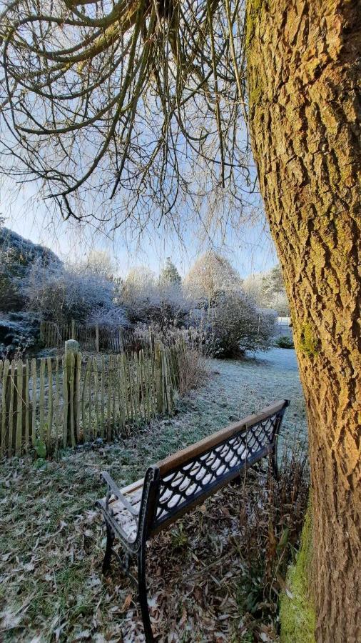 Gite Les Sittelles Tenneville Exteriér fotografie