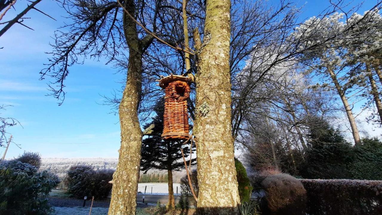 Gite Les Sittelles Tenneville Exteriér fotografie